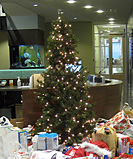 Childhaven Wishing Tree